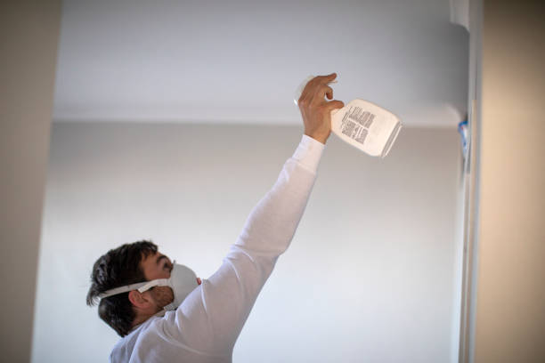 Professional Mold Removal in Blaine, MN