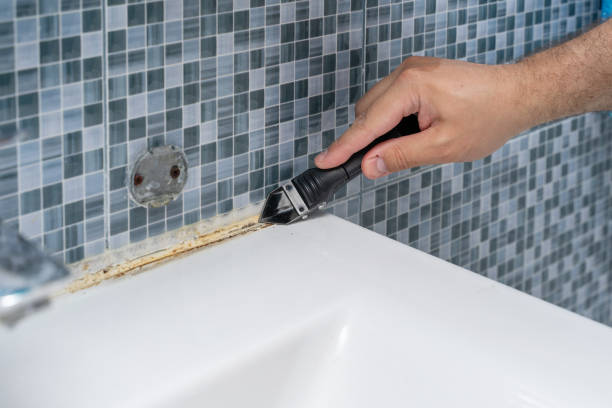 Certified Mold Removal in Blaine, MN