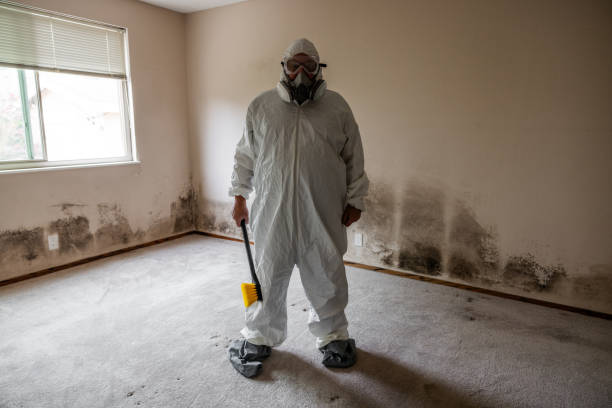 Crawl Space Mold Removal in Blaine, MN